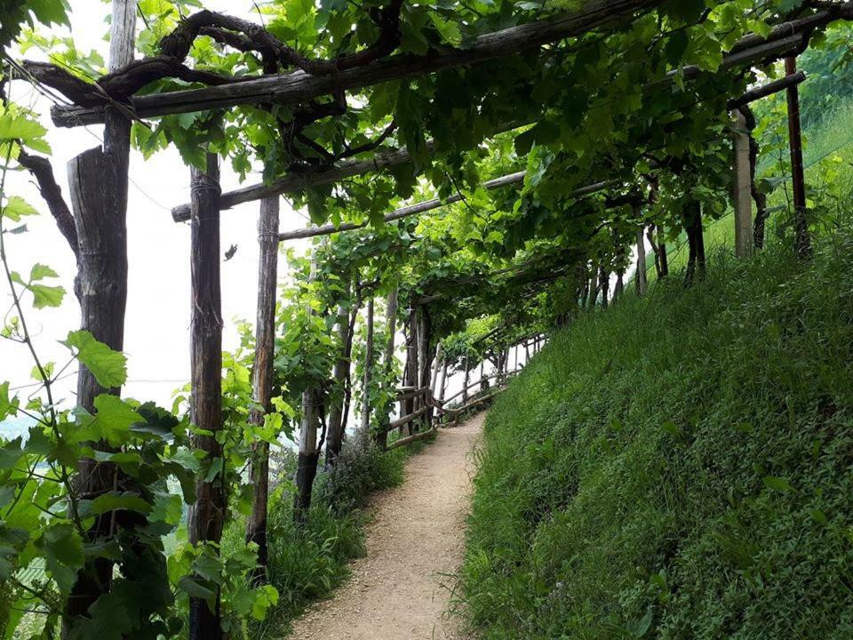 Villa La Casa Rosa di Segusino  Sequsino Esterno foto